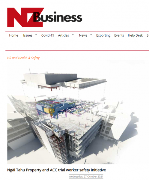 Nz Business Article